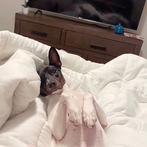 Meet your Posher, Michelle